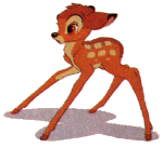 bambi muss man lieben